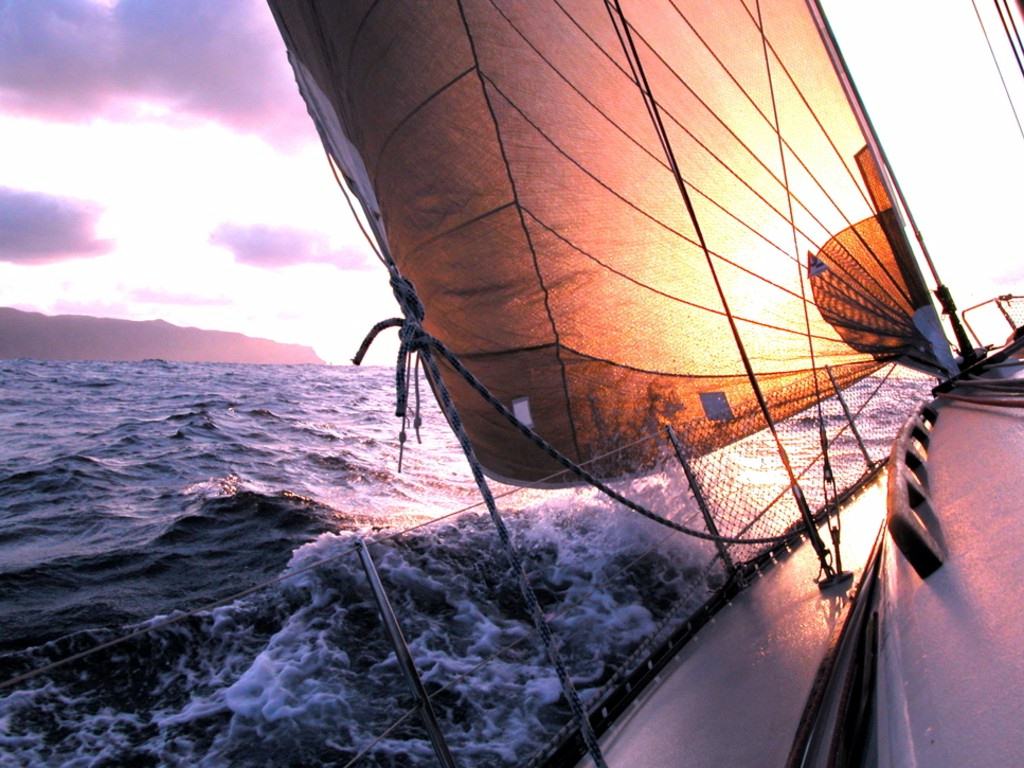 Sailing basics for beginners